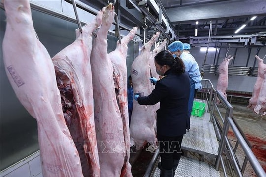 An toàn thực phẩm học đường: Rà soát, siết chặt hệ thống quản lý một cách thực chất