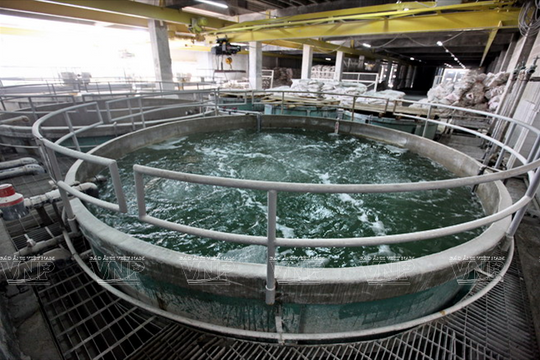 Khẩn trương khắc phục sự cố xì bể ống cấp nước DN1000 Chợ Lớn