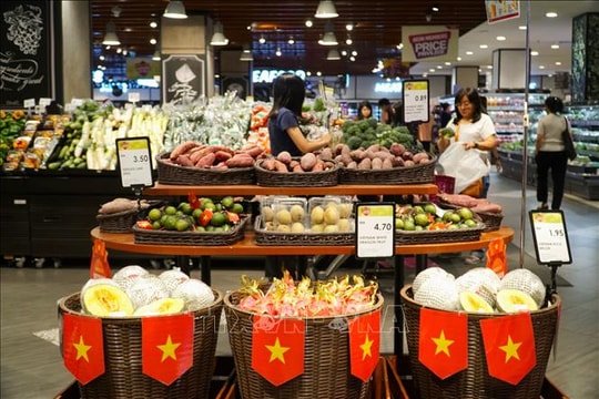 Huy động người Việt Nam ở nước ngoài giới thiệu, tiêu thụ sản phẩm, phát triển kênh phân phối hàng Việt Nam