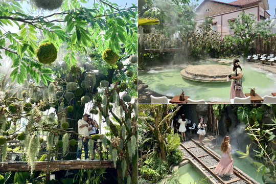 Có gì bên trong khu rừng thu nhỏ đang viral giữa Sài Gòn?