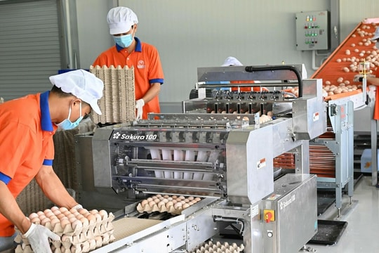 Doanh nghiệp chật vật trong vòng xoáy chi phí