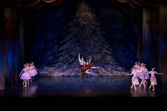 ROX Group đưa trải nghiệm văn hóa vào chiến lược phát triển đô thị