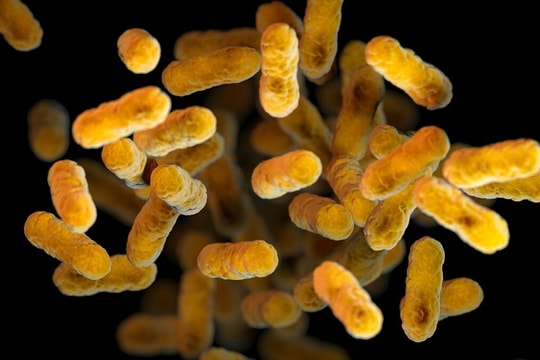 Vì sao cần phòng ho gà cho trẻ khi thời tiết giao mùa?