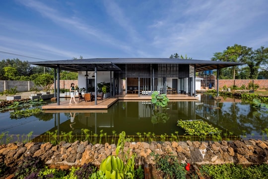 Nhà vườn biến hồ trữ nước tưới tiêu thành 'trái tim' cảnh quan