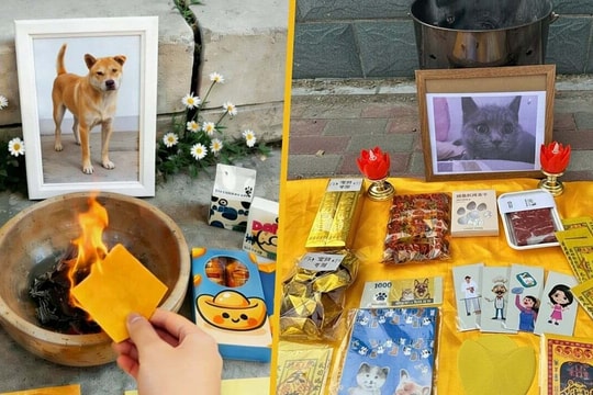 Xu hướng đốt tiền âm phủ, bò Wagyu giấy cho thú cưng tại Trung Quốc