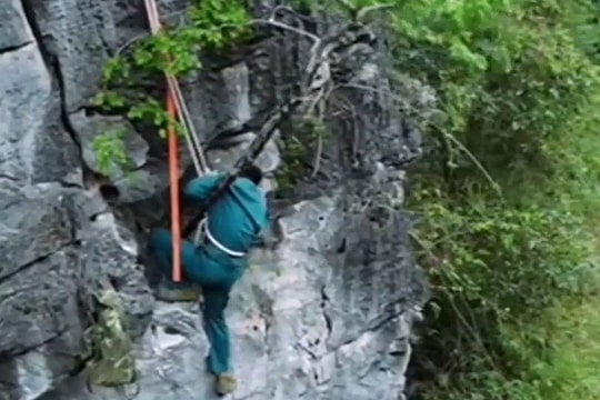 Cơn sốt săn lùng cây muội hồng chơi cảnh