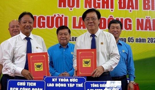 Công ty CP Phân bón Bình Điền: Không ngừng nâng cao phúc lợi cho người lao động