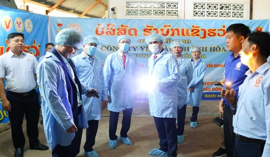 Yến sào Khánh Hòa đẩy mạnh quan hệ hữu nghị và kinh doanh tại Lào