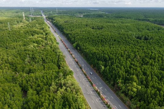 Đường nối trung tâm TP HCM - Cần Giờ trước đề xuất mở rộng