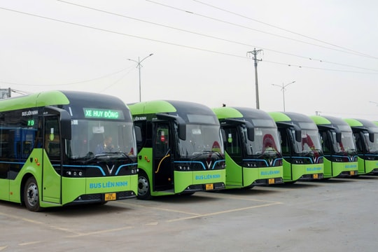 Hà Nội chưa có chủ trương miễn phí xe buýt toàn dân