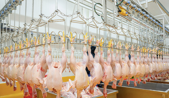 Bán thực phẩm Halal cho 2 tỉ người Hồi giáo vẫn khó