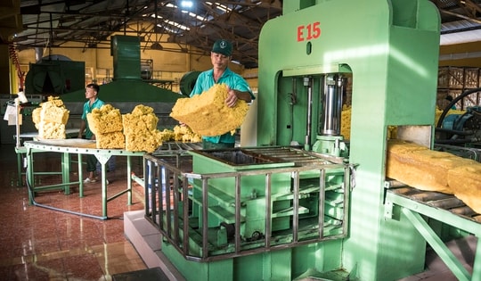 VRG quyết liệt triển khai Nghị quyết 79 về phát triển kinh tế nhà nước