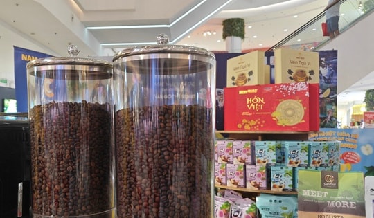 Giá cà phê hôm nay 4-4: Không thể chỉ trông đợi vào giá