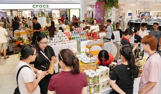 Xuất khẩu cà phê gấp đôi gạo, vì sao chính sách hỗ trợ lại chưa tương xứng?