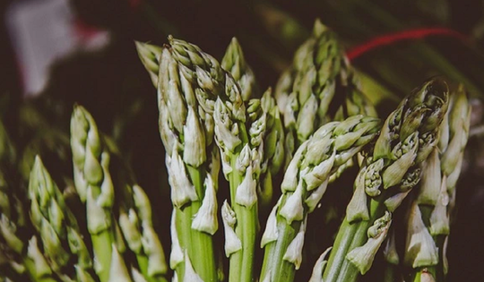 Loại rau được quốc tế ca ngợi “tốt nhất thế giới”, người Việt ăn thường xuyên mà không hay