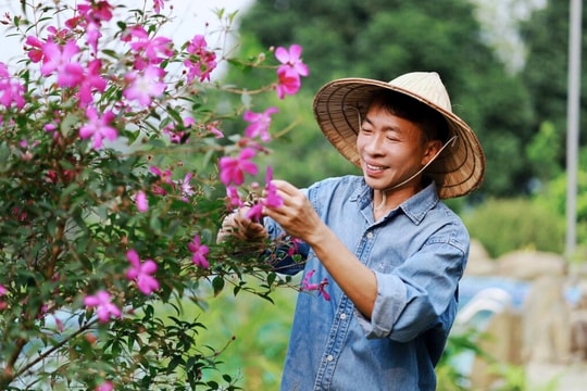 'Ông hoàng nhạc đỏ' sống kín tiếng tuổi xế chiều, ở nhà vườn hơn 10.000m2