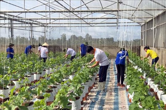 Thúc đẩy phát triển nông nghiệp, nông thôn bền vững