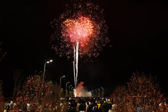 Loạt trải nghiệm cho gia đình dịp lễ 30/4 tại Cần Giờ