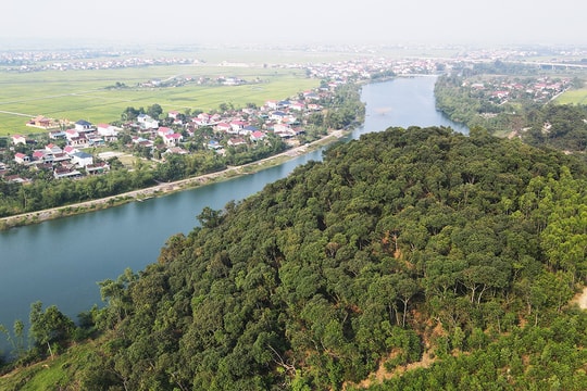 Cánh rừng gỗ quý được gìn giữ suốt 6 thế kỷ