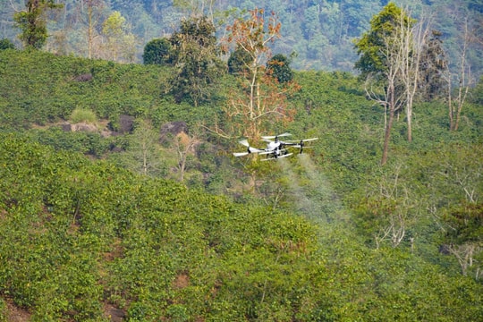 Thử nghiệm UAV phun phân bón lá cho cây cà phê trên địa hình đồi núi