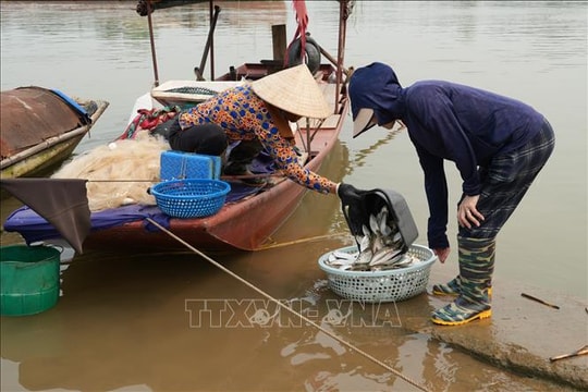 Hưng Yên vào mùa đánh bắt 'lộc sông'