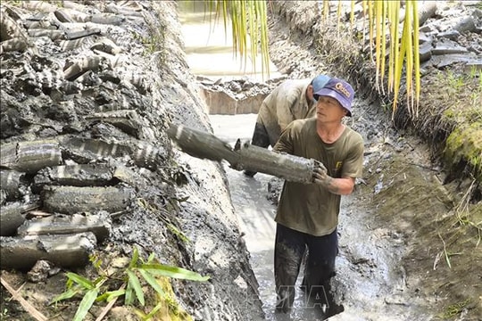 Nông dân linh hoạt 'né mặn' trong cao điểm mùa khô