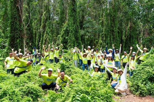 Vietluxtour giới thiệu trải nghiệm du lịch xanh tại lễ hội VITM 2026