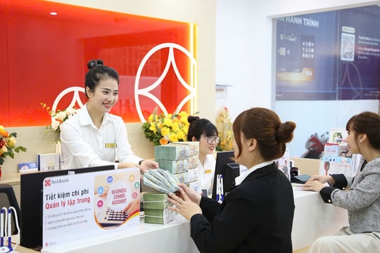 SeABank dự kiến chia cổ tức tỷ lệ 20,5% bằng cổ phiếu