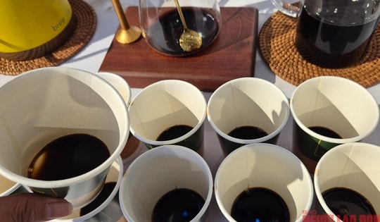 Giá cà phê hôm nay 6-4: Xu hướng sắp tới