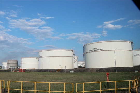 Xây dựng chuỗi liên kết bền vững cho sản xuất cồn sinh học Ethanol