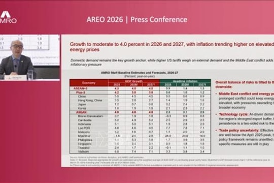 Việt Nam ứng phó tốt trước những cú sốc kinh tế