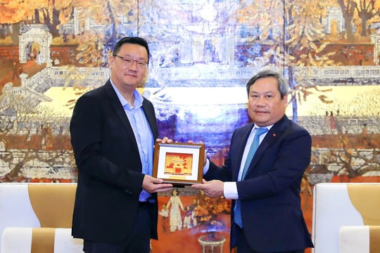 Chủ đầu tư khu Phú Mỹ Hưng muốn cải tạo tập thể Thanh Xuân Bắc