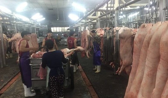 Giá heo hơi hôm nay, 7-4: Sức mua yếu, giá vẫn tăng