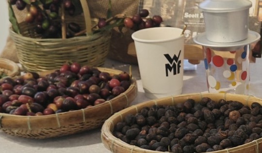 Giá cà phê hôm nay 7-4: Arabica tăng giá, 20% vùng trồng có nguy cơ không phù hợp