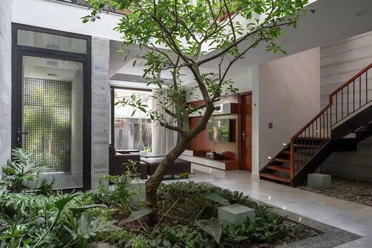 Những ý tưởng tạo không gian xanh cho nhà phố