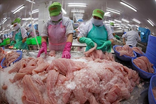 Doanh nghiệp xuất khẩu chủ động thích ứng biến động thị trường