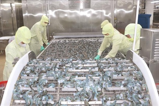 Hội nhập quốc tế 'kích hoạt' động lực tăng trưởng mới cho Cà Mau