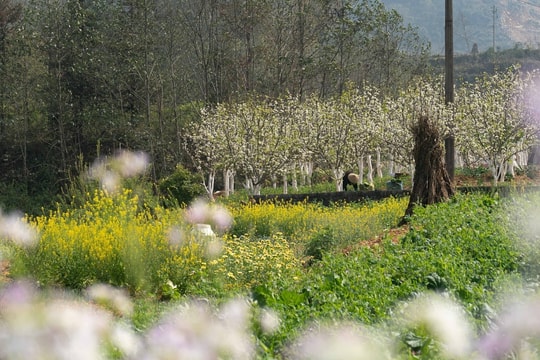 4 điểm đi chơi gần Hà Nội để né vé máy bay giá cao dịp Giỗ Tổ, 30/4