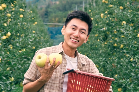 Khoai Lang Thang mê xê dịch từ truyện Nguyễn Ngọc Tư