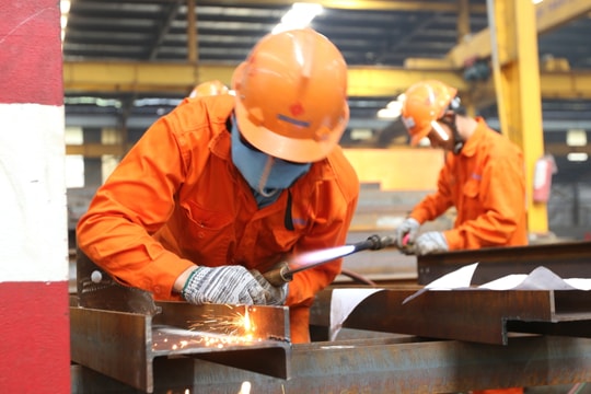 Khảo sát tình hình kinh doanh 6 tháng đầu năm 2026