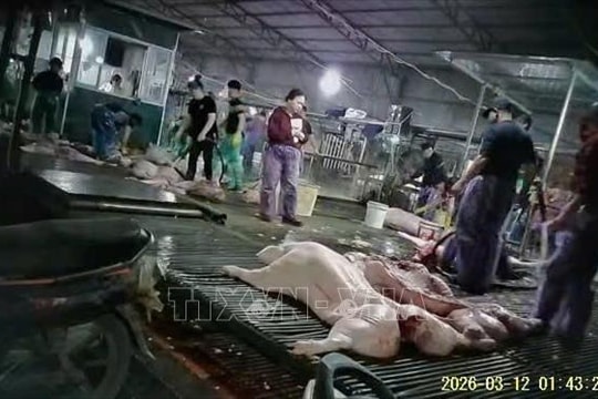 Cần chế tài nghiêm khắc với đối tượng kinh doanh thực phẩm 'bẩn'