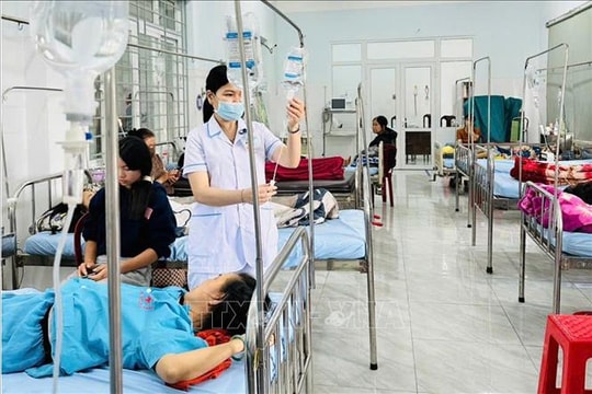 Vụ ngộ độc bánh mì ở Đắk Lắk: Mẫu bệnh phẩm và thực phẩm nhiễm vi khuẩn Salmonella