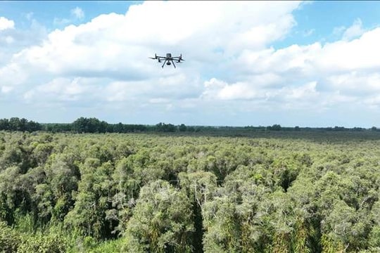 Không chủ quan trước nắng nóng gay gắt và nguy cơ cháy rừng