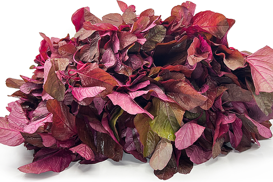 Bác sĩ Trung Quốc nói 5 loại rau gây hại thận nếu lạm dụng