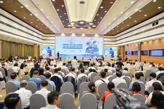 Hoàn thiện thể chế, thúc đẩy liên kế tư nhân và kinh tế tập thể