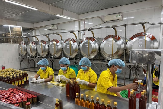 Kinh tế TP Hồ Chí Minh tăng tốc mạnh, GRDP quý I đạt mức cao nhất 5 năm