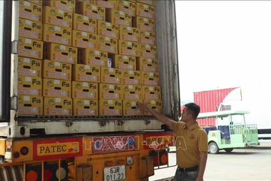 Xuất khẩu lô sầu riêng đầu tiên theo 'luồng xanh' qua cửa khẩu Hữu Nghị