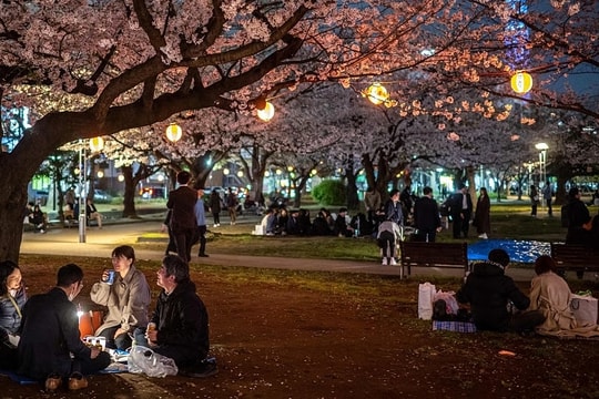 Tranh cãi du khách nhảy múa tại điểm ngắm hoa anh đào ở Nhật