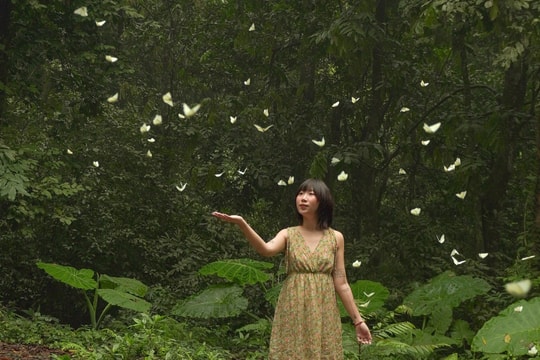 Khách đổ đến check in vườn Cúc Phương mùa bướm