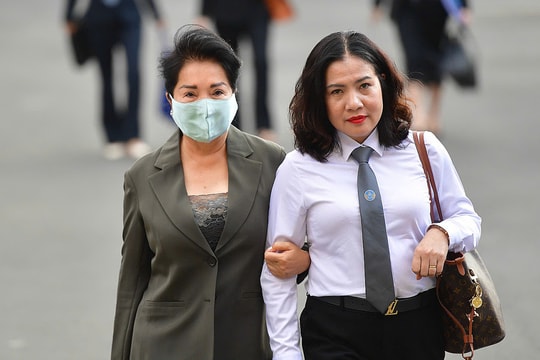 Luật sư: 'Lằn ranh sai phạm của bà Nguyễn Thị Như Loan rất mong manh'